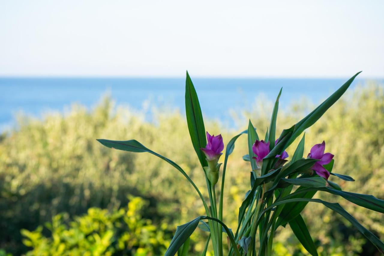 Sosos 2 Bedroom House With Sea View Plános エクステリア 写真
