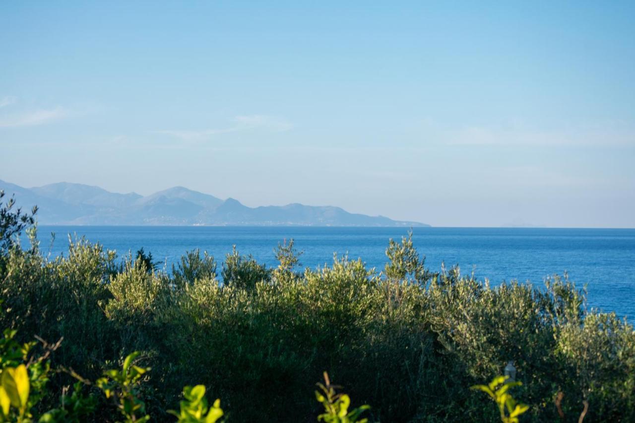Sosos 2 Bedroom House With Sea View Plános エクステリア 写真